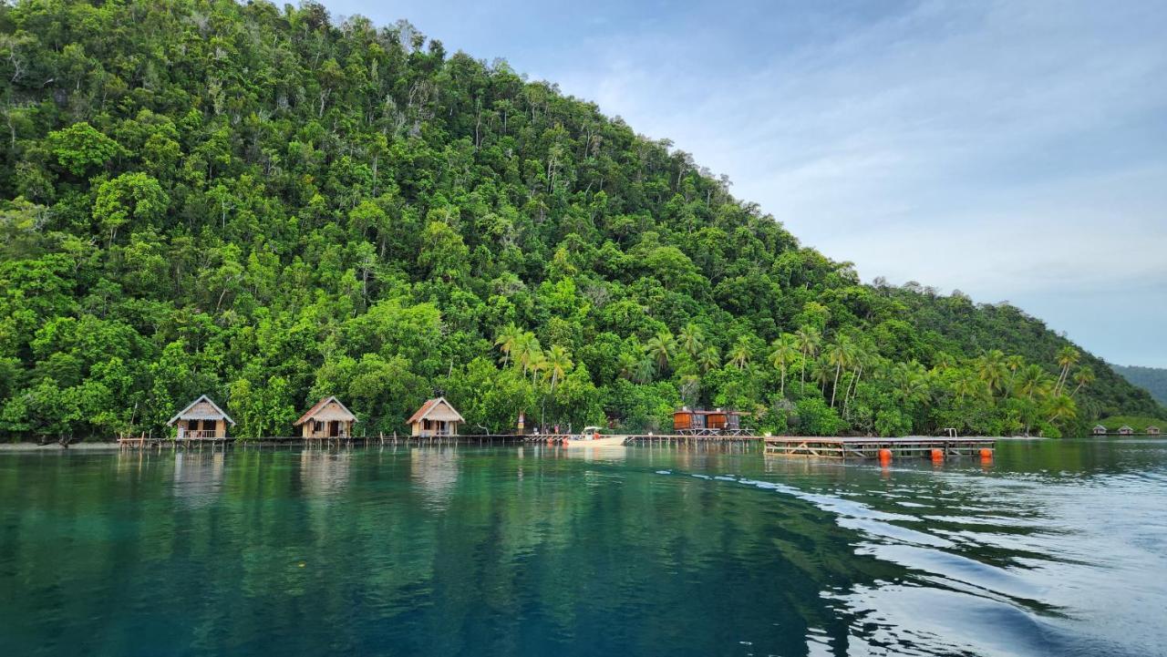 Terimakasih Homestay Pulau Mansuar 외부 사진