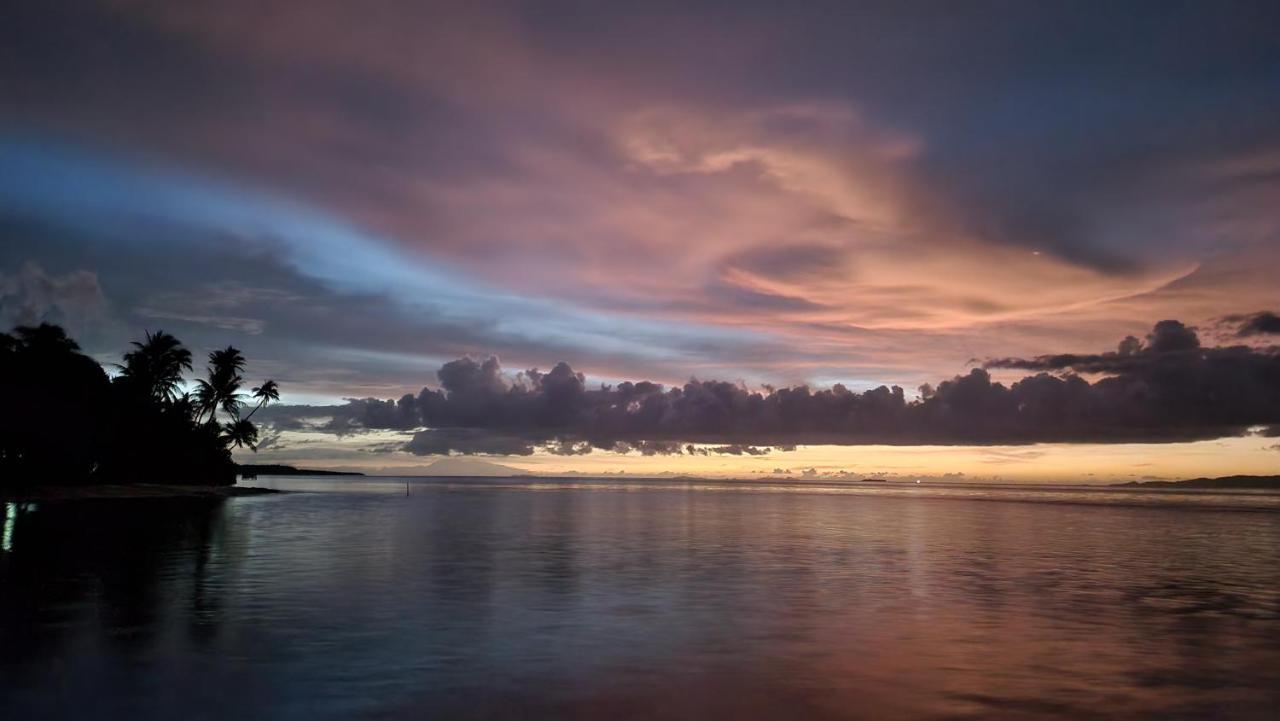 Terimakasih Homestay Pulau Mansuar 외부 사진