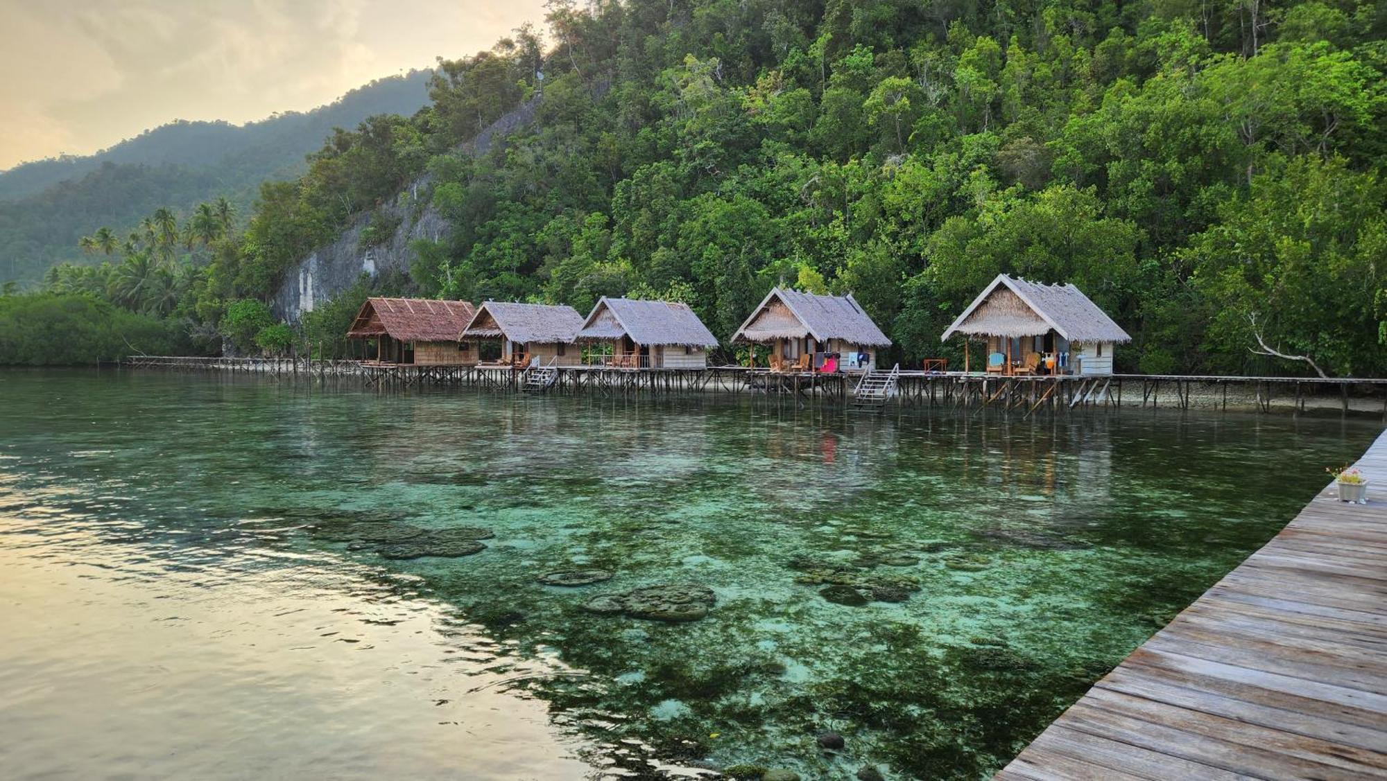 Terimakasih Homestay Pulau Mansuar 외부 사진