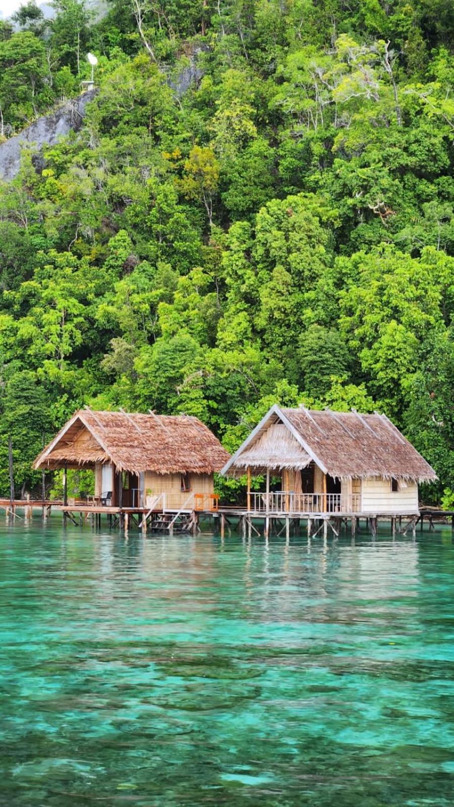 Terimakasih Homestay Pulau Mansuar 외부 사진